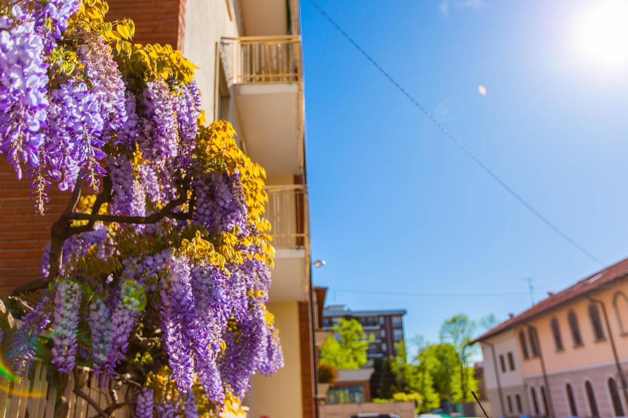 Al 4 Hotel Busto Arsizio Exterior photo